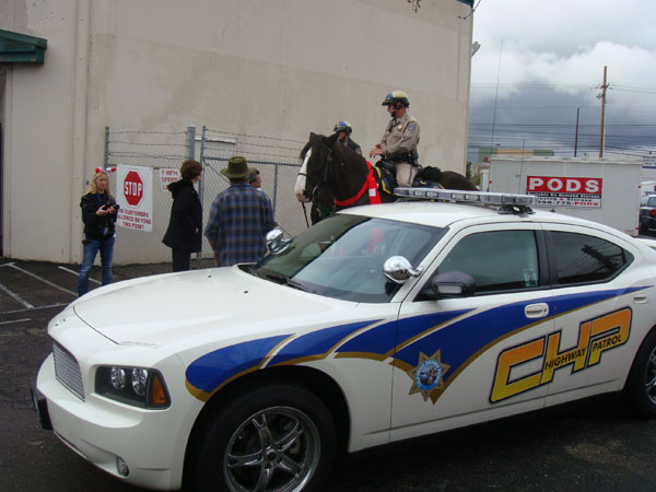 chips2010_dk-348