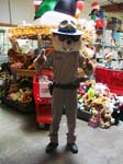 chips2010_dk-300