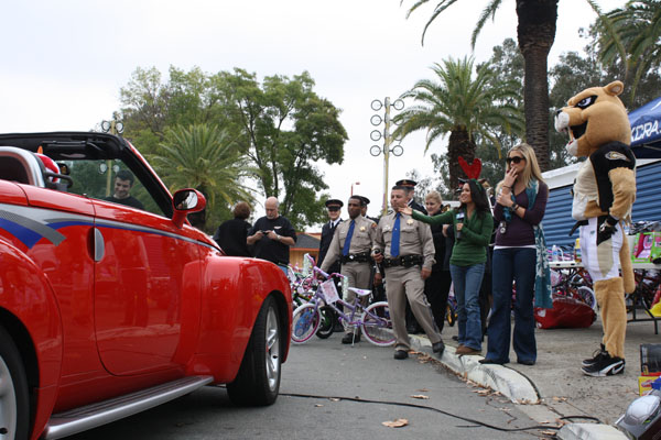chips2010_hp-082