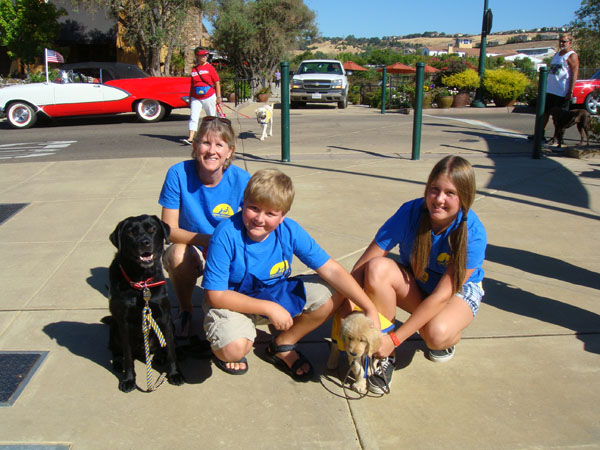 zzww_2010-153