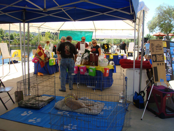 zzww_2010-164