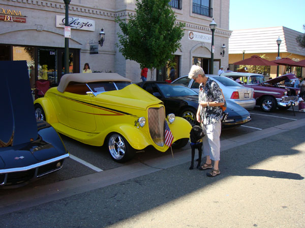 zzww_2010-205