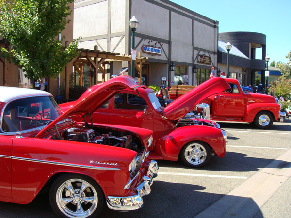 zzww_2010-224